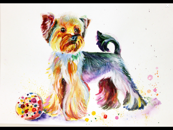 Нарисовать йоркширского терьера