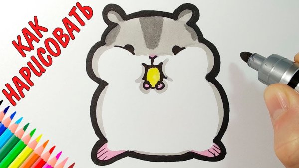 Хомяк рисунок маркерами