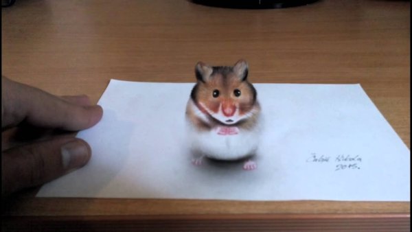 Хомяк маркерами