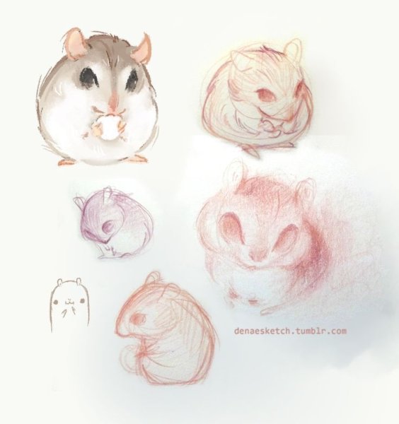 Хомяк скетч