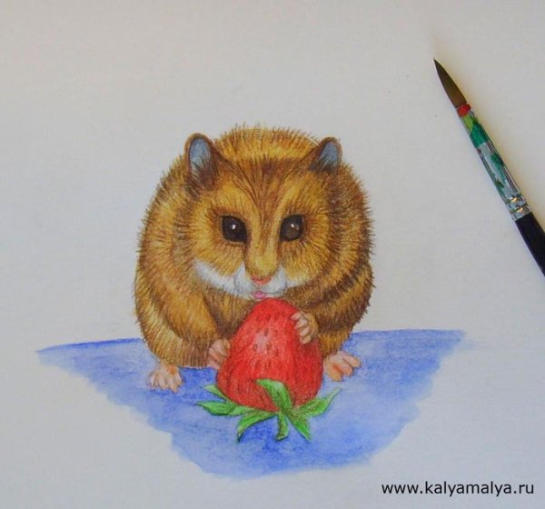 Хомяк карандашом