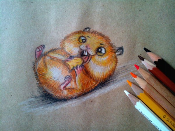 Рисунки цветными карандашами животные