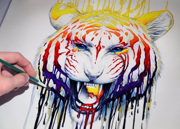 Тигр красками