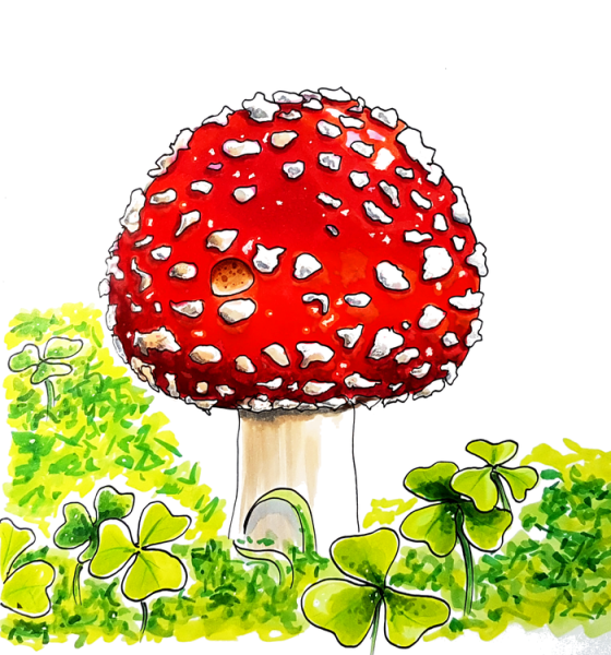 Мухомор маркерами