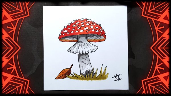 Мухомор рисунок маркерами