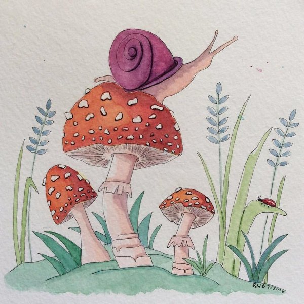 Мухомор акварель Сюзан Веллер