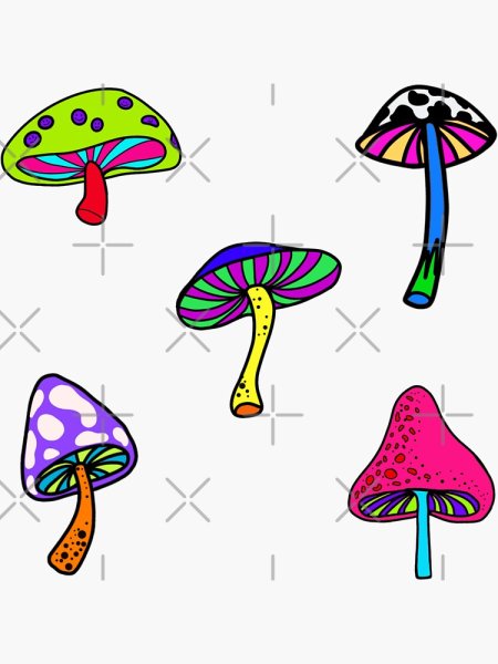 Гриб инди КИД Радужный