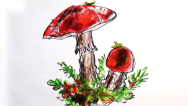 Мухомор рисунок