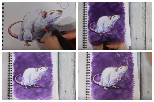 Крыса маркерами