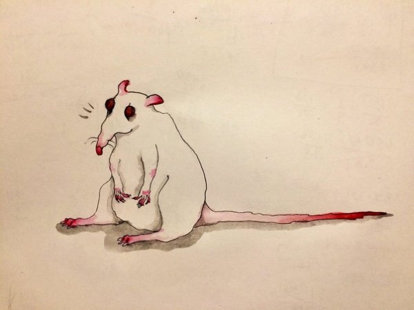 Тетрадь с крысой