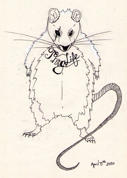 Крыса эскиз