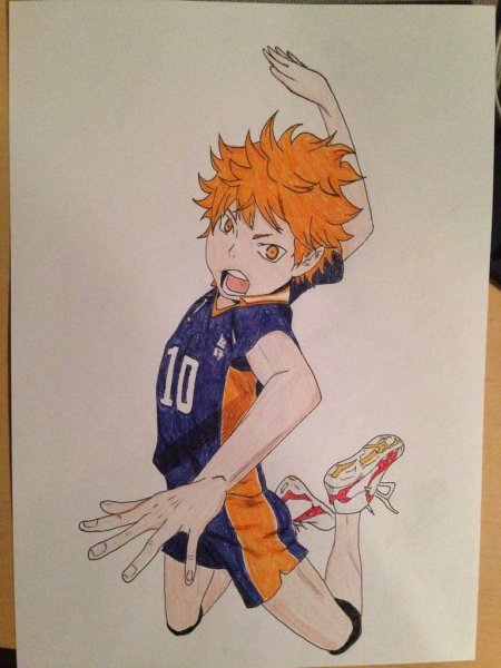 Хината волейбол в полный рост