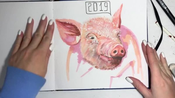 Свинка маркерами