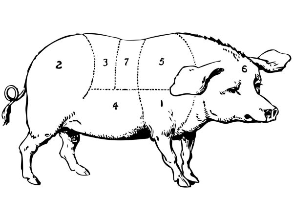 Гравити Фолз Пухля черно белая