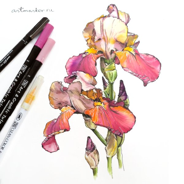 Акварельные маркеры для рисования