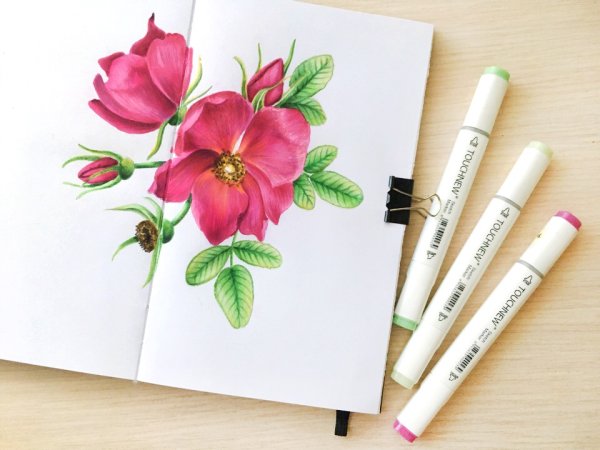 Рисунки маркерами