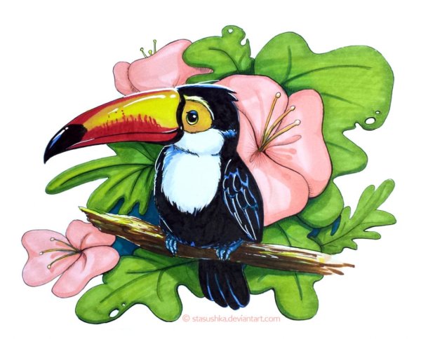 Скетч маркерами Тукан
