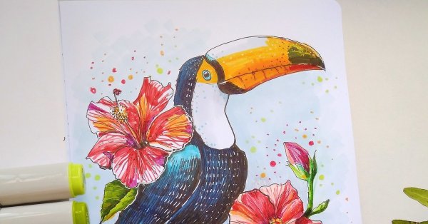 Тукан акварелью скетч