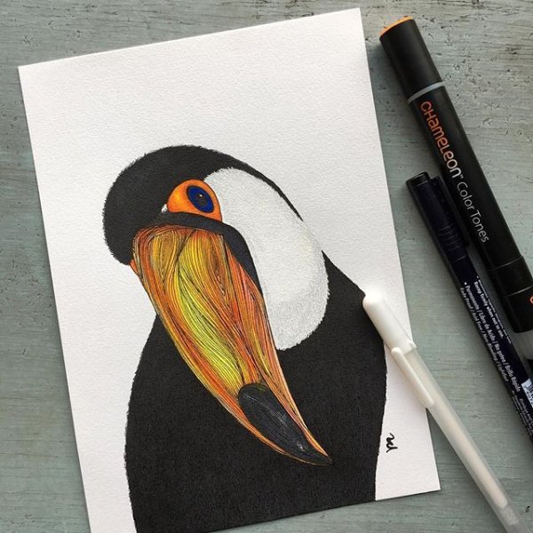 Тукан фломастерами