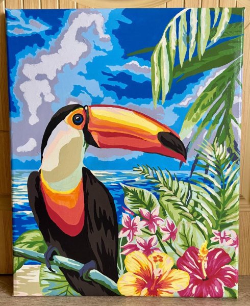 Рисование по номерам Тукан