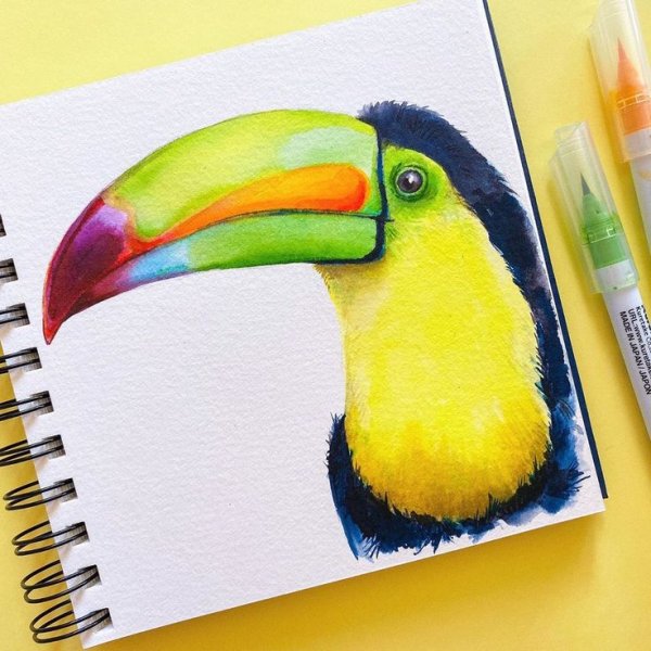 Рисунки карандашом