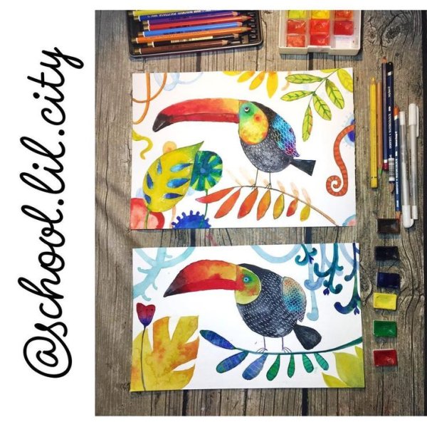 Тукан рисунок фломастерами