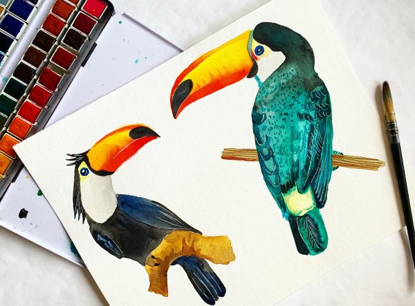 Скетч маркерами Тукан