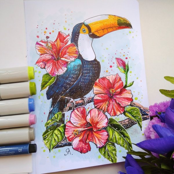 Птица маркерами