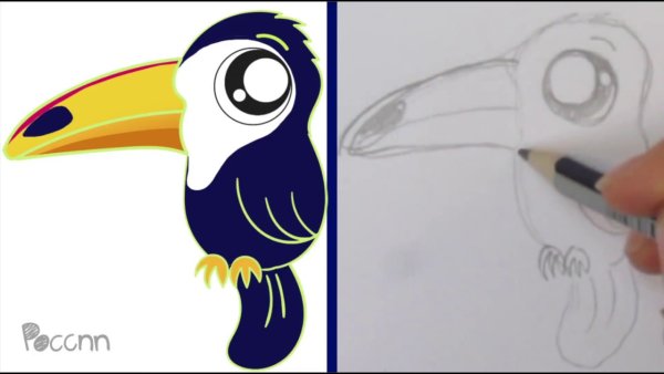 Как нарисовать тукана маркерами
