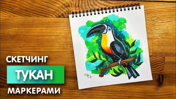 Скетч Inc. маркерами для начинающих Тукан