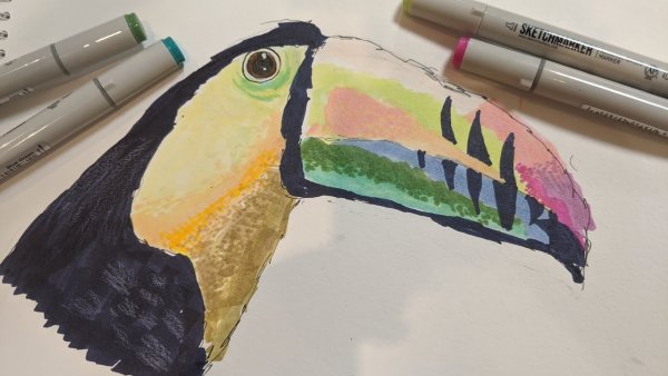 Тукан рисунок фломастерами