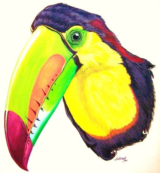 Тукан референс