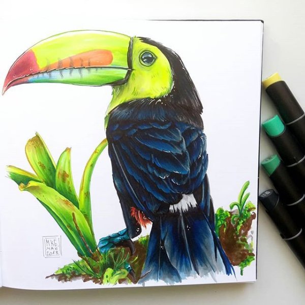 Тукан маркерами