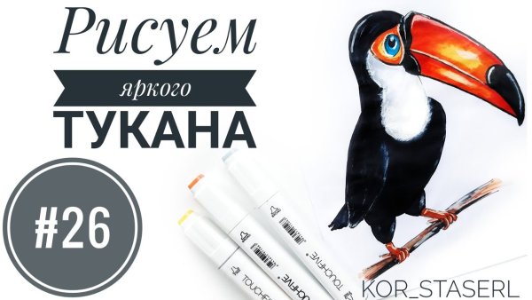 Птицы Тукан детский