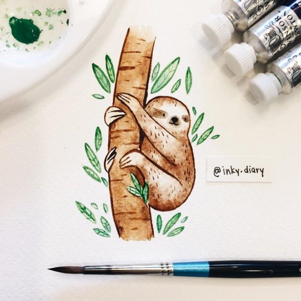 Рисунки для скеч бука животные