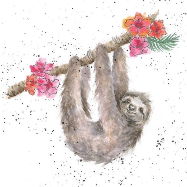 Милые ленивцы акварель