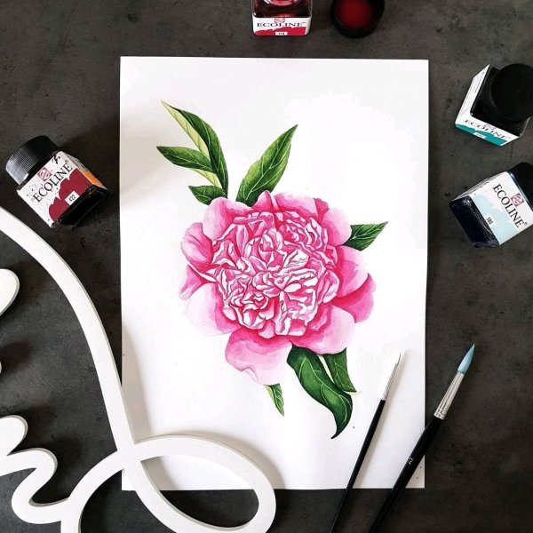 Пион скетч маркерами