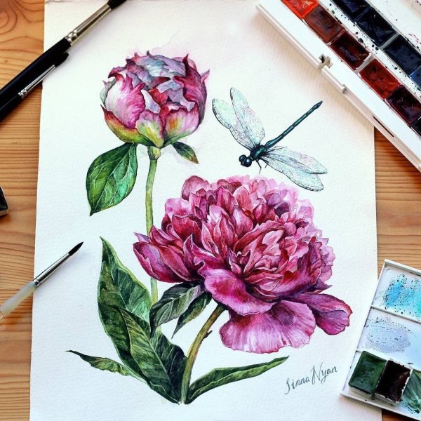 Пионы скетчинг акварель