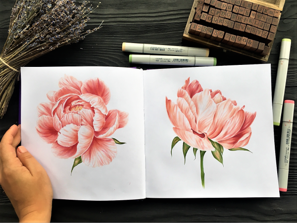 Пионы скетчинг акварель