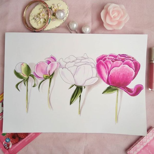 Пион скетч маркерами