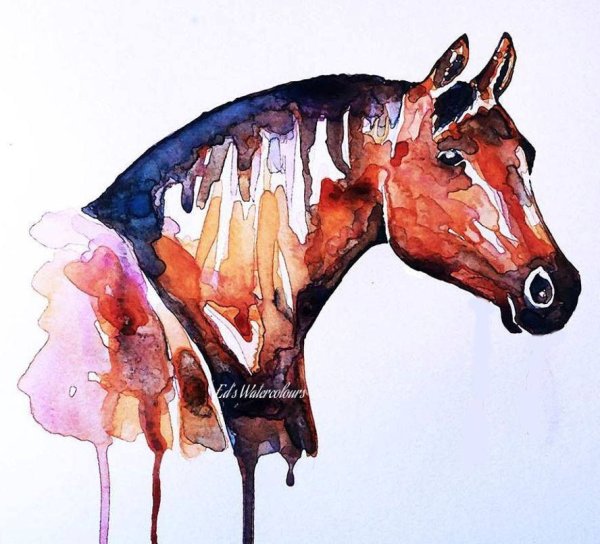 Лошадь маркерами