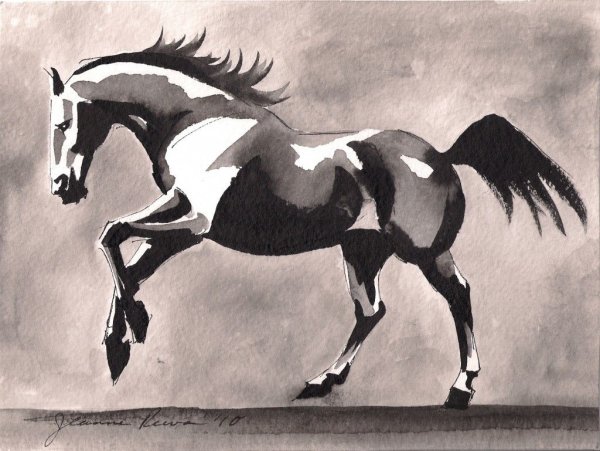 Лошадь маркерами