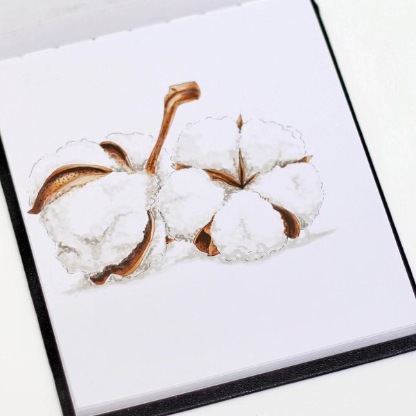 Хлопок скетч