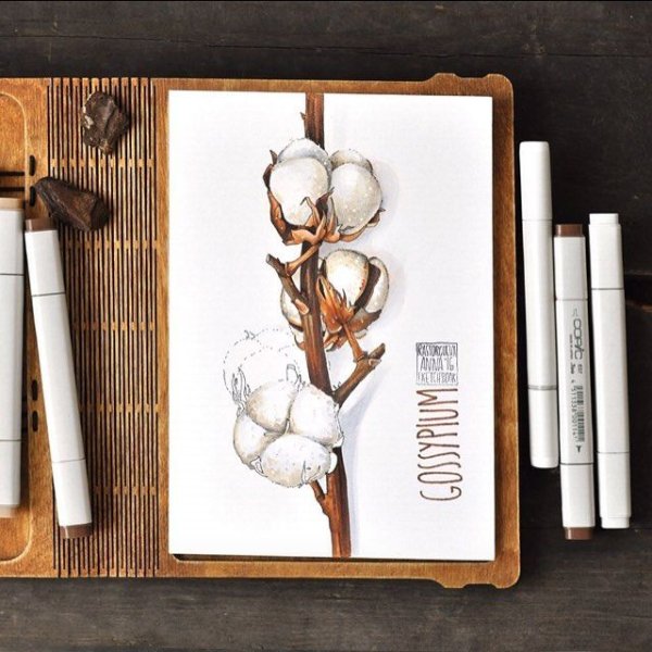 Анна Расторгуева скетчинг