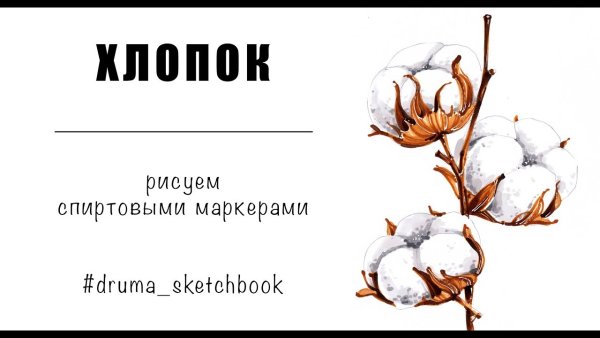 Скнйчинг ветка хлопка нарисовать