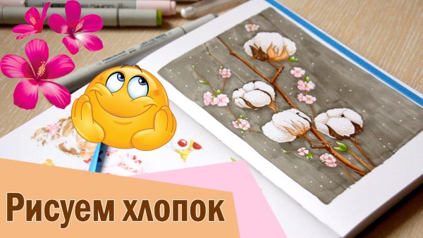 Хлопчатник Ботанический рисунок