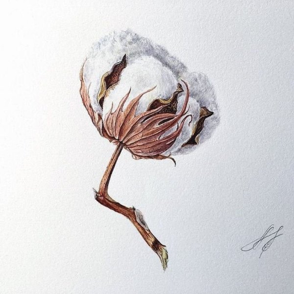 Рисование маркерами для начинающих