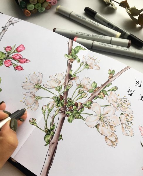 Маркеры для скетчинг