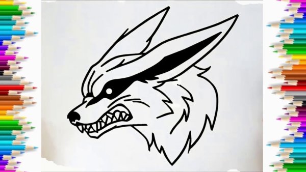 Курама рисунок для срисовки