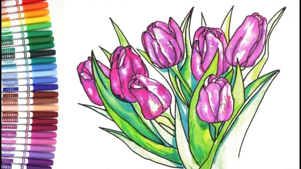 Тюльпаны фломастерами